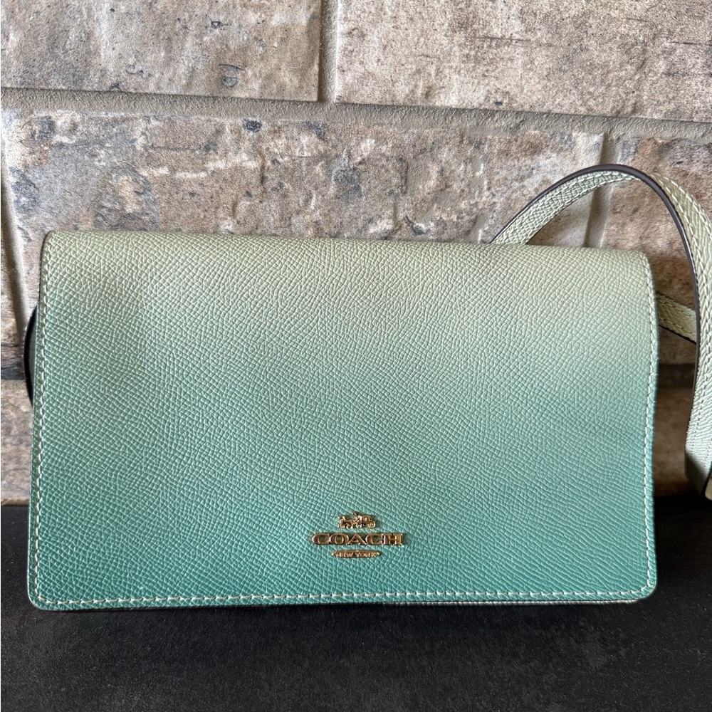 Coach Hayden Green Leather OmbreCrossbody Bag
